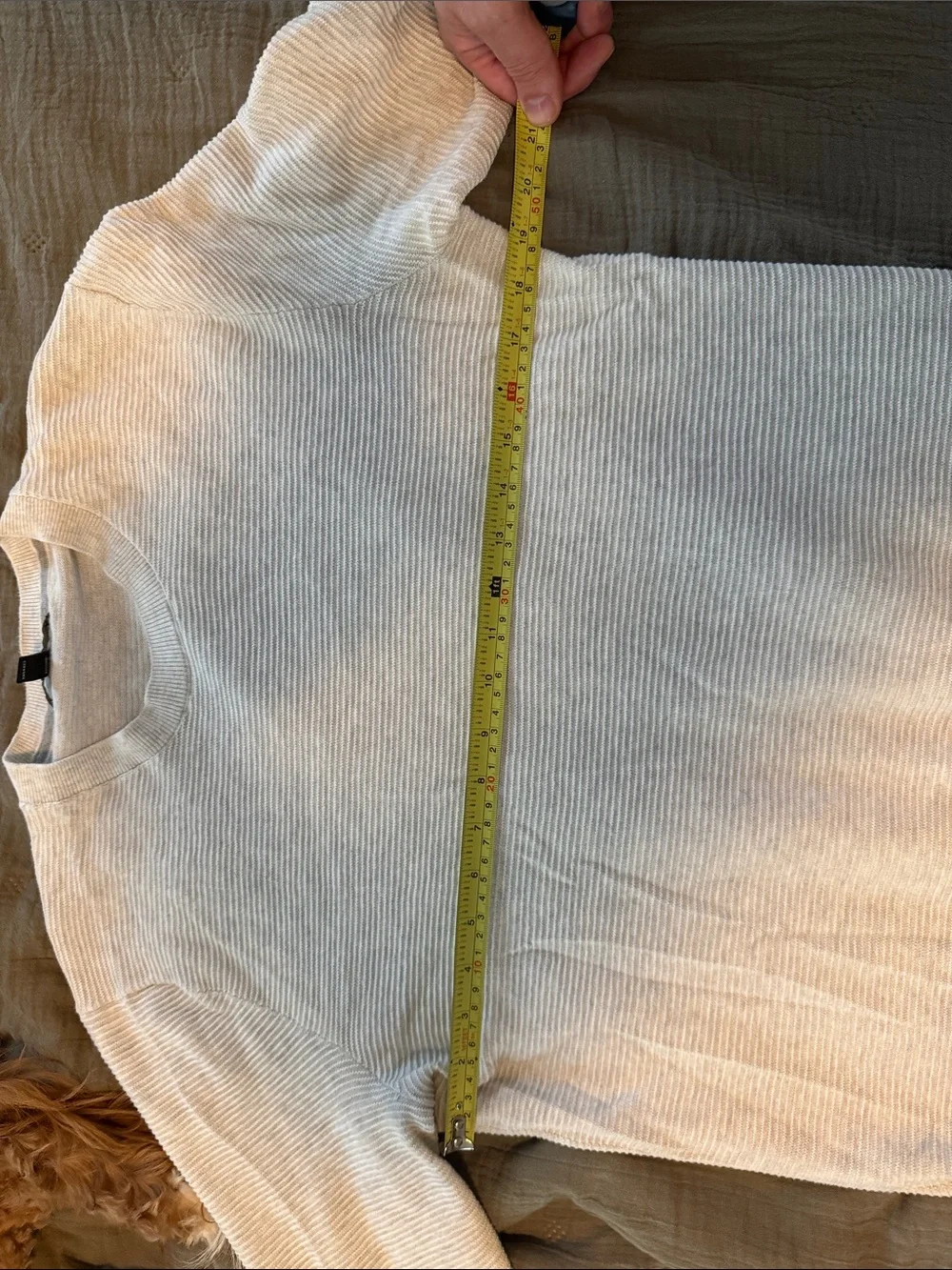 Banana Republic Lightweight Cream Crewneck Ribbed Sweater